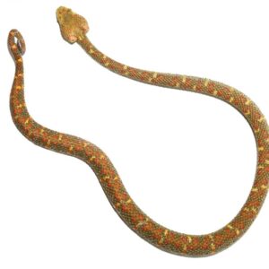 2018 Christmas Tree Eyelash Viper For Sale