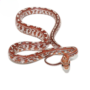 Baby Tessera Het Amel Cornsnake For Sale